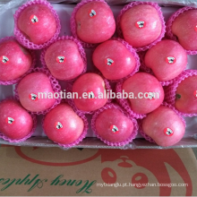 Exportador de maçã fuji fresco na china preço de venda inteiro